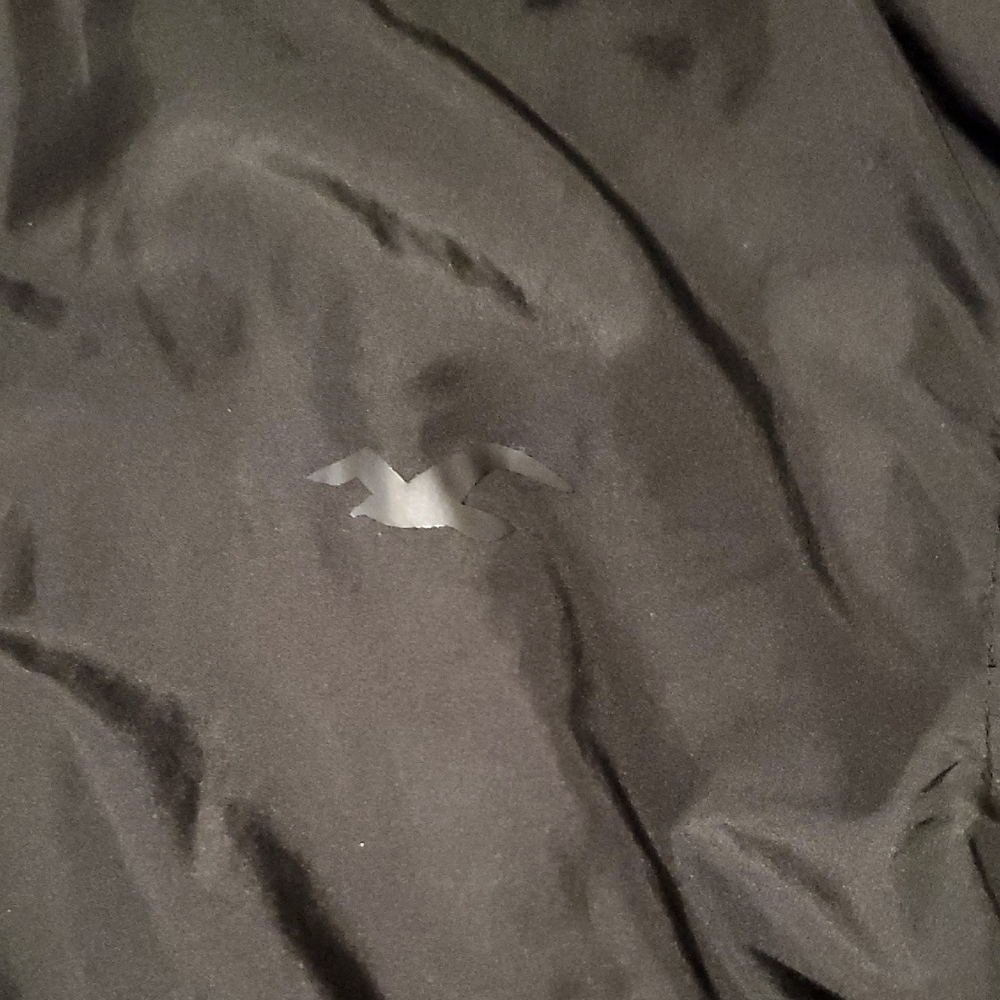 Hollister Charcoal Hooded Jacket - Picture 4 of 8